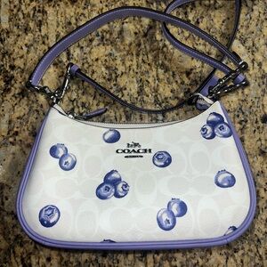 Coach Teri Blueberry Purse